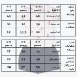 جدول سایزبندی پیراهن شلوارک پسرانه طرح آرتور