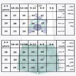 جدول سایزبندی تیشرت و شلوارک هپی درایور