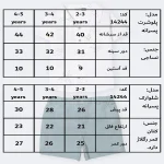 جدول سایزبندی پیراهن شلوارک پسرانه طرح هاوایی