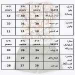جدول سایزبندی تیشرت شلوارک طرح کوین