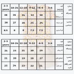 جدول سایزبندی تیشرت و شلوارک پسرانه طرح راما