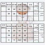 جدول سایزبندی دوبنده پسرانه طرح بالن