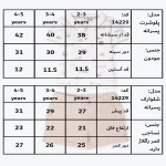 جدول سایزبندی پیراهن و شلوارک پسرانه طرح لئو
