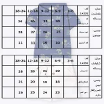 جدول سایزبندی تیشرت و شلوارک طرح برکه