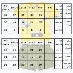 جدول سایزبندی تیشرت و شلوارک طرح رالی