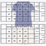 جدول سایزبندی تیشرت و شلوارک طرح سامر