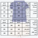 جدول سایزبندی تیشرت و شلوارک طرح سامر